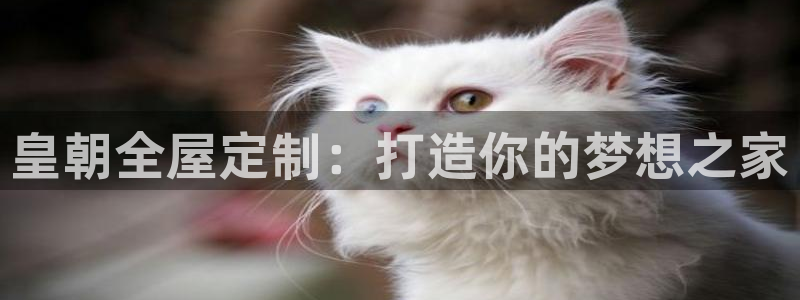 bb电子哪个平台好用一点