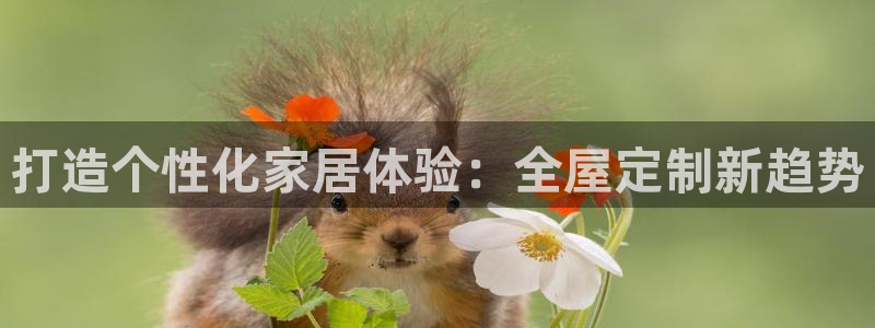 bb电子中了Major怎么算