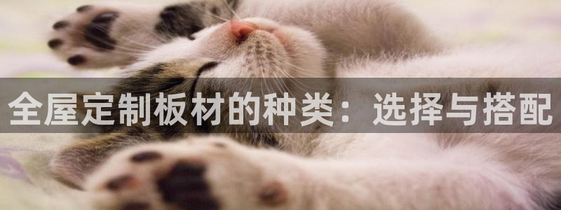 bb电子哪个游戏好赢钱一点