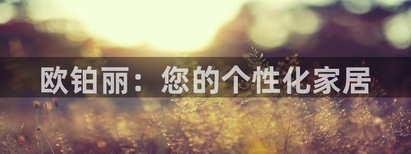 BB电子锁怎么接电