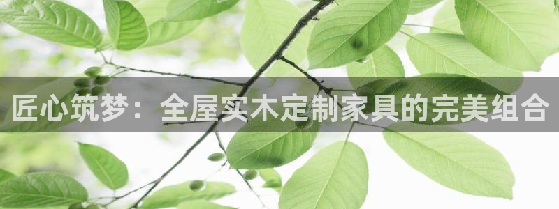 BB电子烟官网