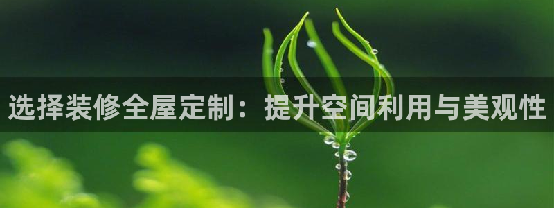 bb电子哪个平台好一点