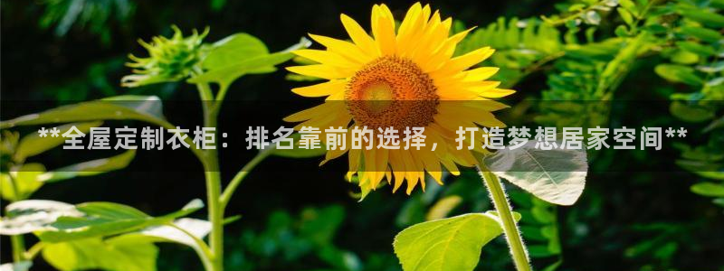 bb电子哪个平台好啊